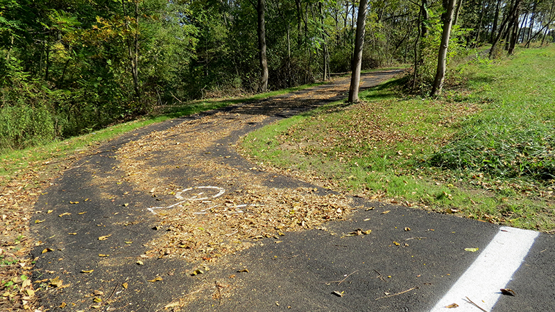 Towpath trail